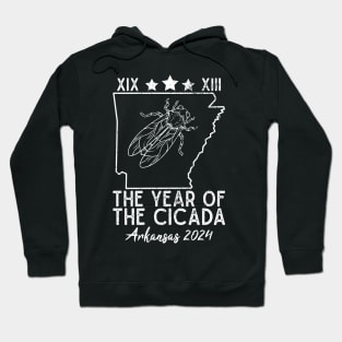 Great Cicada The Year Of Cicada 2024 Arkansas XIX XIII USA Hoodie